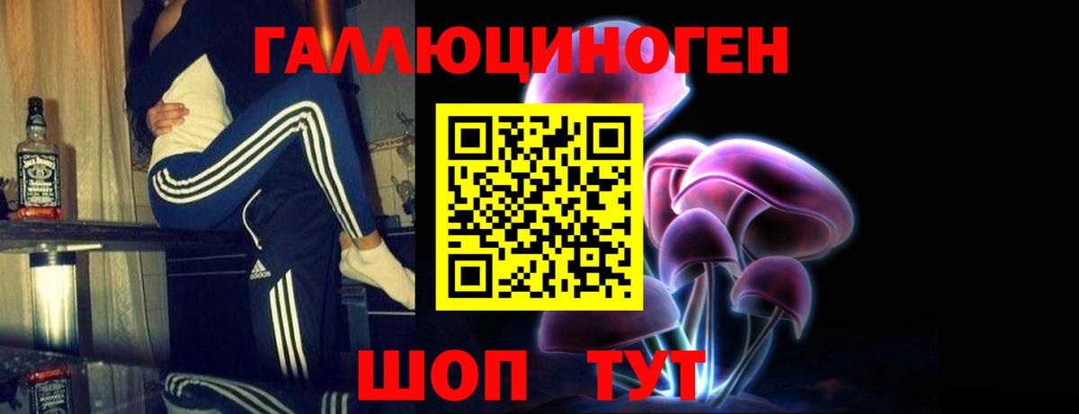 Будённовск  Галлюциногенные грибы прущие грибы  даркнет сайт  Вход с VPN  Галлюциногенные грибы Magic Shrooms 